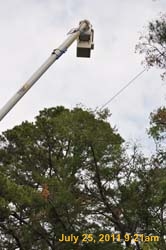Entergy 062